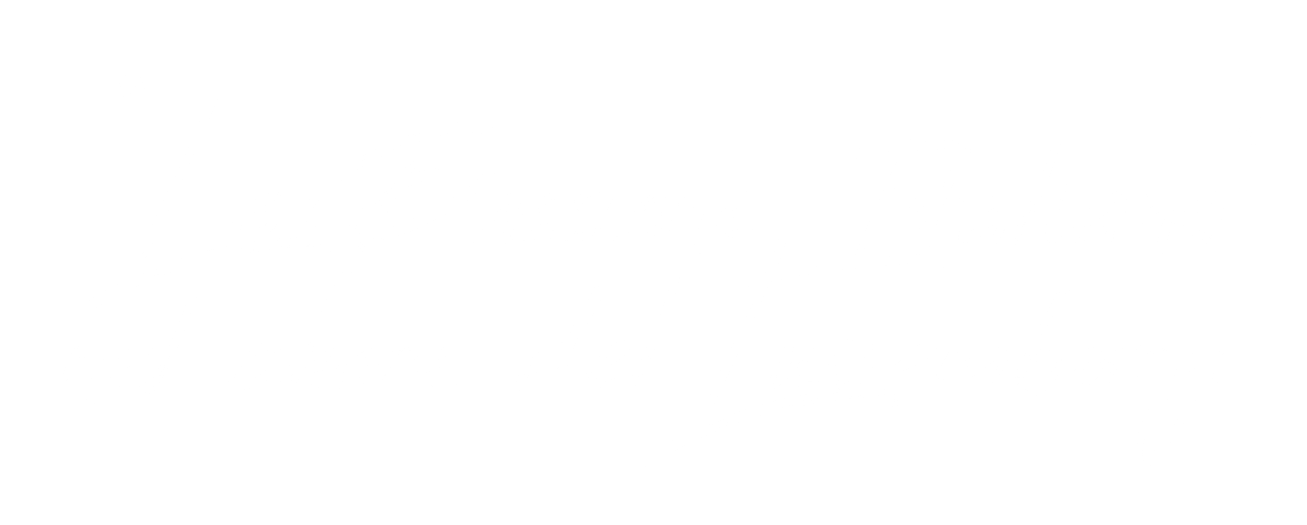 TORINO slogan 19 scaled