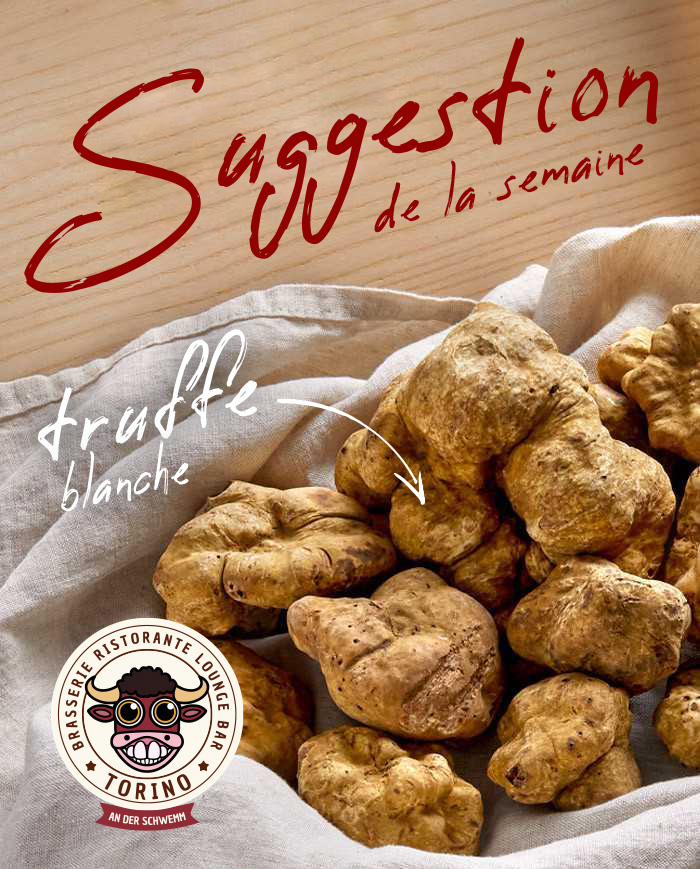 ✨ La truffe blanche est arrivée ✨
À partir de ce week-end, venez savourer notre menu dégustation autour de la truffe blanche.
Une expérience gastronomique unique à ne pas manquer ! 🍽️🤍